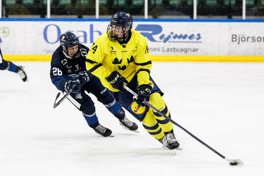Aatu Vuohijoki of Finland and Milan Sundström of Sweden