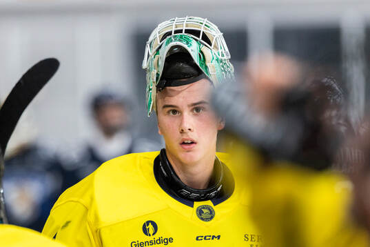Goaltender Fabian Nääs Salasca of Sweden