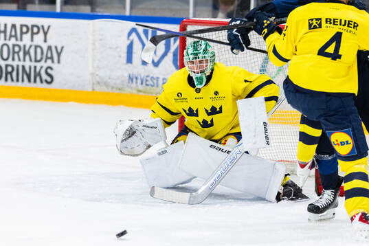 Goaltender Fabian Nääs Salasca of Sweden