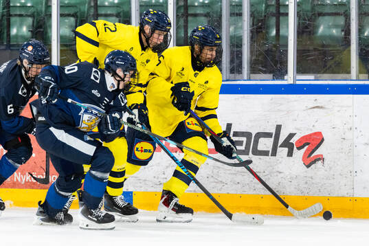 Alfred Nordén and Loui Karlsson of Sweden