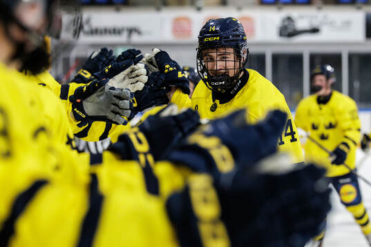 Milan Sundström of Sweden celebrates