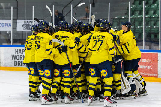 Players of Sweden celebrates