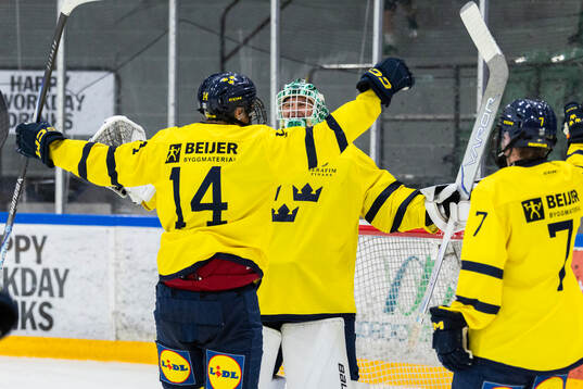Goaltender Vilmer Salén Forsberg and Milan Sundström of
