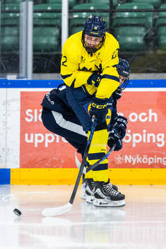 Alfred Nordén of Sweden