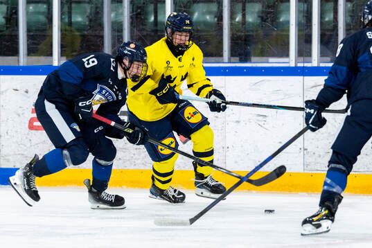 Joel Ikonen of Finland and Noel Nord of Sweden