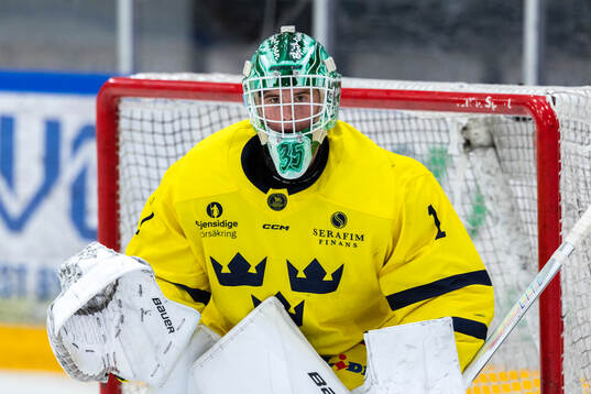 Goaltender Fabian Salasca Nääs of Sweden