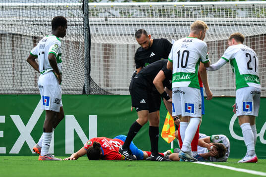 Helsingborgs Ervin Gigovic har ont