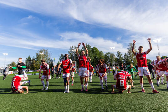 Sandvikens IFs spelare jublar