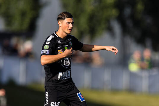 Örebros Erman Hrastovina
