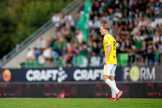 Falkenbergs Linus Borgström