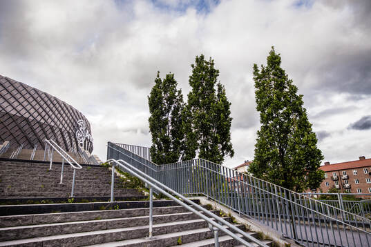 3Arena
