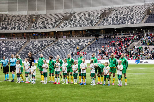 Players of Hammarby