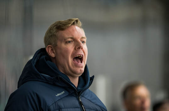 HV71s tränare Anton Blomqvist