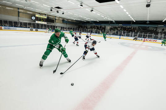 Rögles Paul LaDue och HV71s Mattias Tedenby