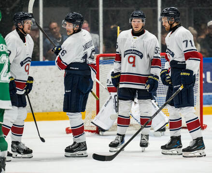 HV71s Andreas Borgman