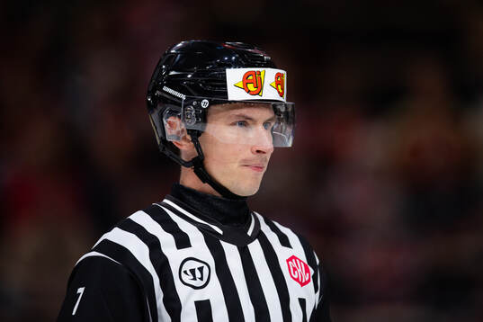 Referee Christoffer Holm