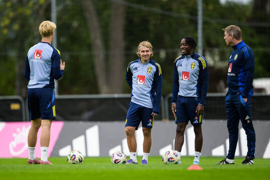 Lucas Bergvall, Sebastian Nanasi, Anthony Elanga and Head