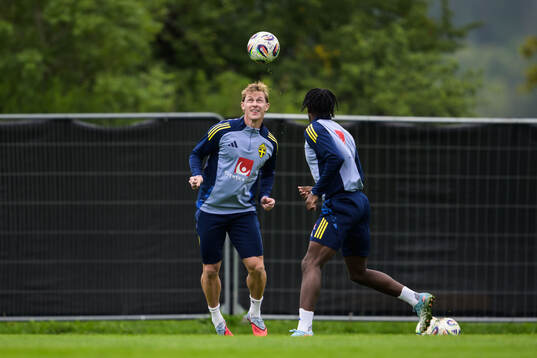 Emil Krafth of the Swedish national football team