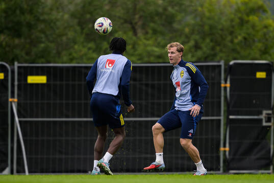 Emil Krafth of the Swedish national football team