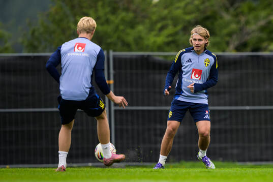 Sebastian Nanasi of the Swedish national football team
