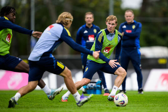Emil Krafth of the Swedish national football team