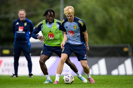 Bläddra bland fler bilder av Football, FIFA World Cup Qualifier, Sweden, Training