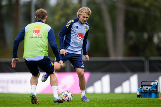 Sebastian Nanasi of the Swedish national football team