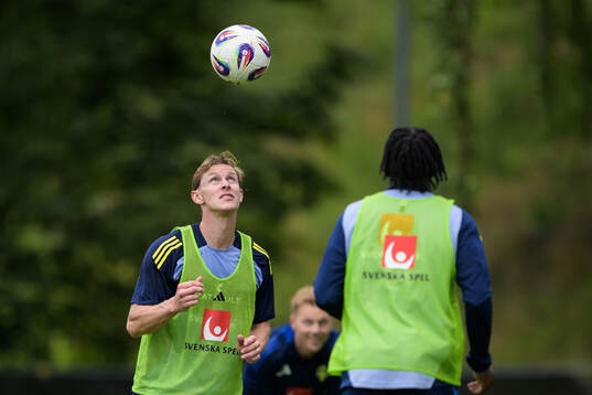 Emil Krafth of the Swedish national football team