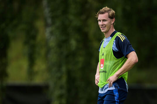 Emil Krafth of the Swedish national football team