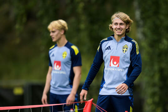 Sebastian Nanasi and of the Swedish national football team