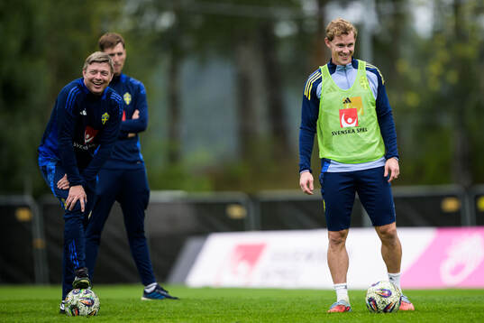 Head coach Jon Dahl Tomasson and Emil Krafth of the Swedish