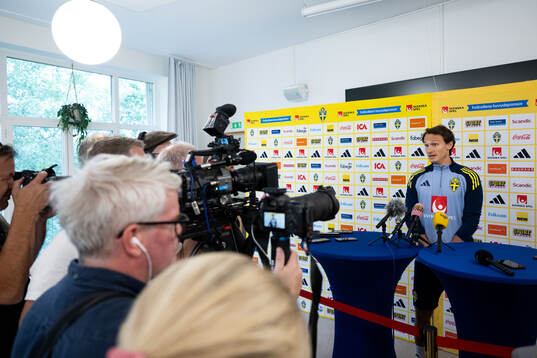Hjalmar Ekdal of the Swedish national football team in