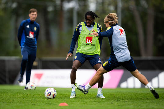 Anthony Elanga of the Swedish national football team