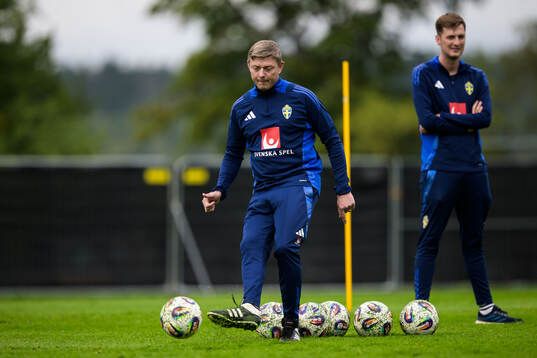 Head coach Jon Dahl Tomasson of the Swedish national