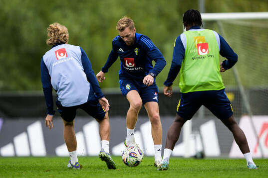 Assistant coach Sebastian Larsson of the Swedish national