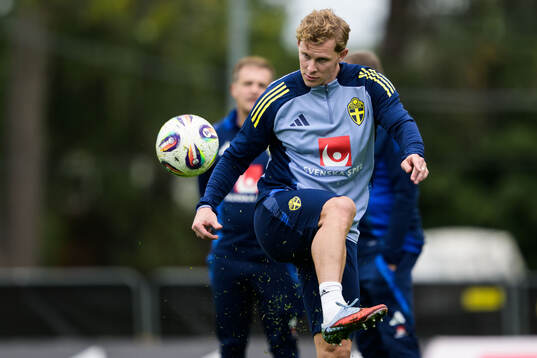 Emil Krafth of the Swedish national football team