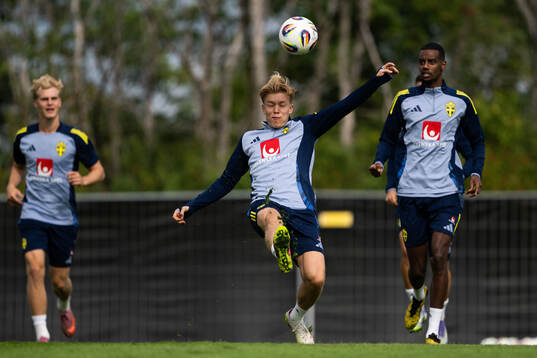 Daniel Svensson of the Swedish national football team