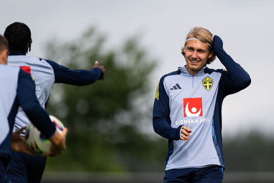 Sebastian Nanasi of the Swedish national football team