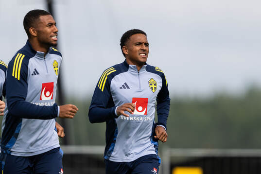 Isak Hien and Niclas Eliasson of the Swedish national