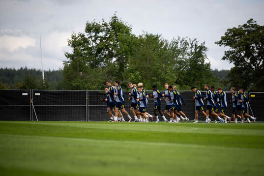 Players of the Swedish national football team