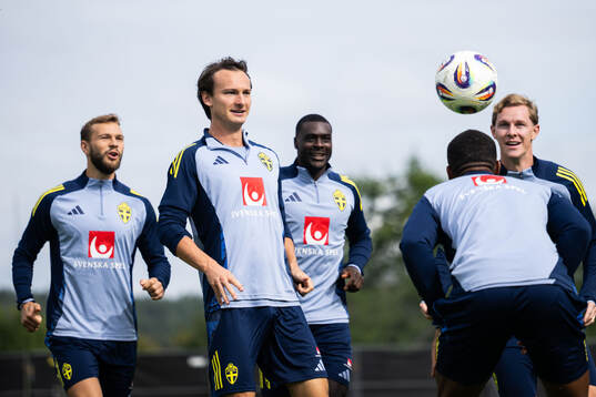 Hjalmar Ekdal of the Swedish national football team