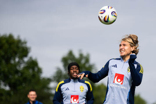 Sebastian Nanasi of the Swedish national football team