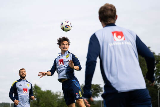 Hjalmar Ekdal of the Swedish national football team