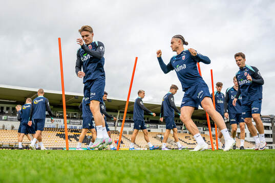 Martin Ødegaard, Thelo Aasgaard and Felix Horn Myhre of