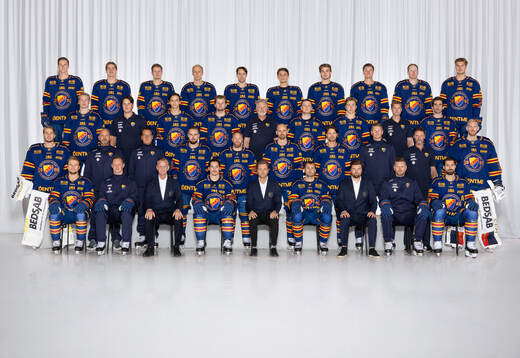 Bläddra bland fler bilder av Ishockey, SHL, Porträtt och Lagbild, Djurgården