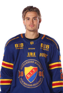Djurgårdens Håvard Salsten