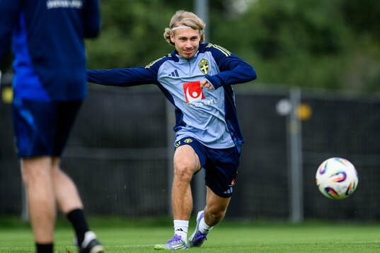 Sebastian Nanasi of the Swedish men's football national