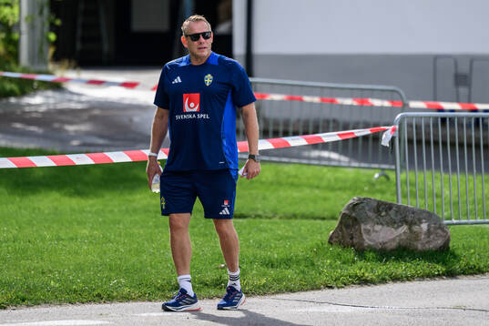 Stefan Dejemyr, head of security, of the Swedish men's