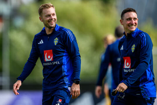 Assistant coach Sebastian Larsson of the Swedish men's