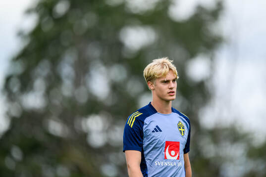 Lucas Bergvall of the Swedish men's football national team